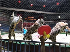 -西安秦岭野生动物园