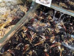 -盒马鲜生(岭南新世界店)