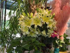 -春暖花开(西溪店)