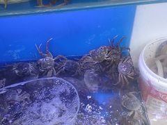 -祥鹤龙虾螃蟹
