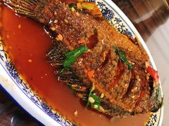 -阿鹏故事云南野生菌火锅(人民路店)