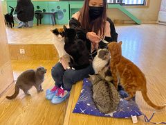 -萌喵咖啡屋(人民东路4号口M16商铺店)