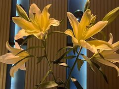 -东方棕泉·洗浴·按摩·美食国际水疗会所(福田店)