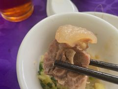 药膳鳄鱼龟-龟场私房菜