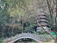 -深圳国际园林花卉博览园