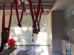 -榕树上·瑜伽普拉提