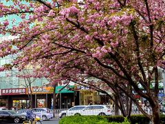-北京丽晶酒店