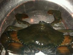 android_upload_pic-七欣天香辣蟹火锅(武义壶山广场店)