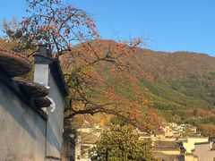 -塔川景区