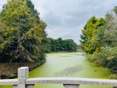 -上海海湾国家森林公园