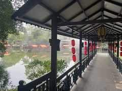 -侨美·唐荔园·40年地道粤菜