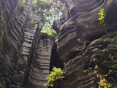 -梭布垭石林景区