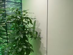 -W·24H茶楼·棋牌·掼蛋(望京店)