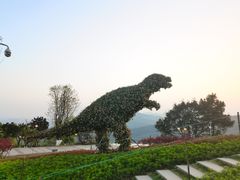 -铁山坪森林公园