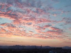 -伊爽串吧