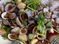 血蛤-东记潮汕美食砂锅粥小炒烧烤(镇南大街店)