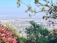 -杭州半山国家森林公园