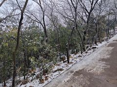 -惠山国家森林公园