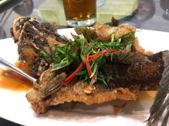 -熠盛粤味·顺德桑拿鸡(永康路店)
