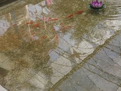 android_upload_pic-北国之春国宴(乌兰察布店)