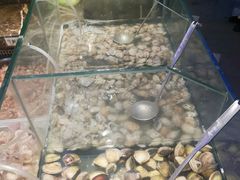 -金火牛烤肉.火锅自助餐厅(桐乡吾悦广场店)