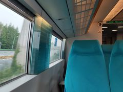 -龙阳路磁悬浮列车总站-停车场