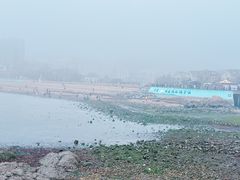 -黑石礁公园