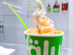 -Salud撒露欧洲冻酸奶(蓝色港湾店)