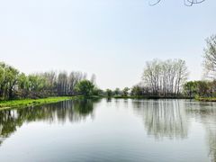 -溱湖国家湿地公园