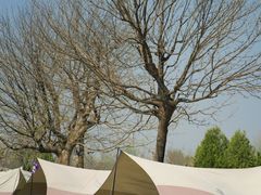 -圣露庄园·露营·烤肉·亲子