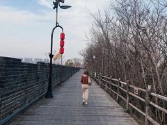 -开封城墙景区