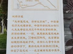 -莲花池公园