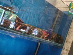 -小平岛開海水饺(浑南店)