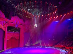 -珠海横琴长隆《卡卡虎奇遇记》