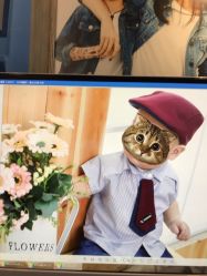 -哈尼Honey baby 儿童摄影(立丰国际公寓店)