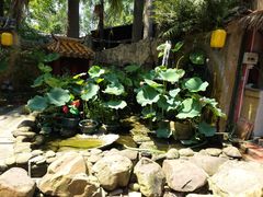 -园林美食城·本土农家菜(杨和镇店)