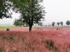 -汉长安城未央宫国家考古遗址公园