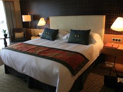 -新加坡文华东方酒店