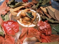 -地球美食剧场