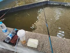 -粮心小农·大头虾亲子生态园(长发店)