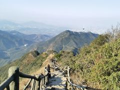 -梧桐山风景名胜区