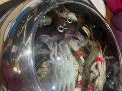 -船梆煮•蒸汽海鲜·炉火烤肉(五四广场店)