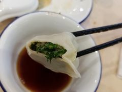 茴香鲜肉饺-北方饺子王·海肠捞饭·海鲜锅(山大店)