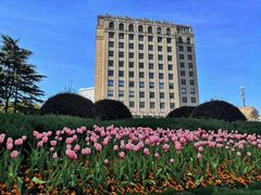 -中共上海市委党校 上海行政学院