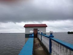 -湖南东洞庭湖国家级自然保护区