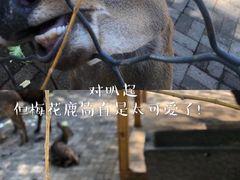 -长白岛森林公园