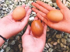 -汤W城市微度假(仓山店)