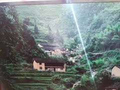 -田小狗的饭店(碧桂园店)