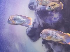 -常州海昌海洋探索馆