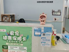 -纳吉亚猫专科动物诊疗中心(蒋宅口分院)